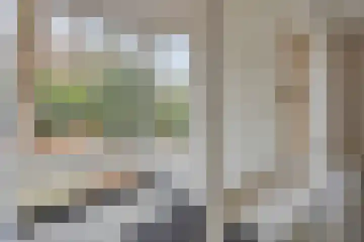 Bisonlaan 9 Son en Breugel thumbnail 13
