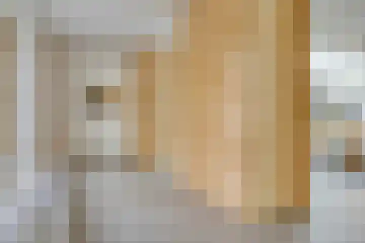 Bisonlaan 9 Son en Breugel thumbnail 14