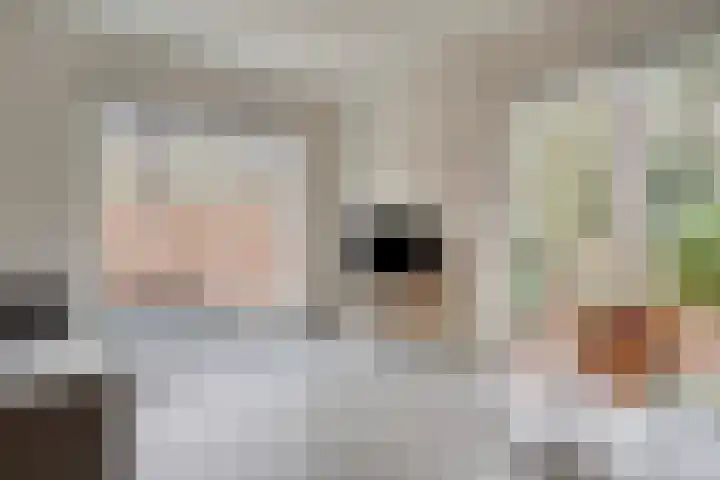 Bisonlaan 9 Son en Breugel thumbnail 20