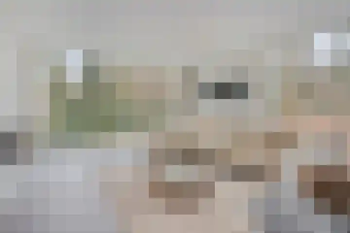 Bisonlaan 9 Son en Breugel thumbnail 24