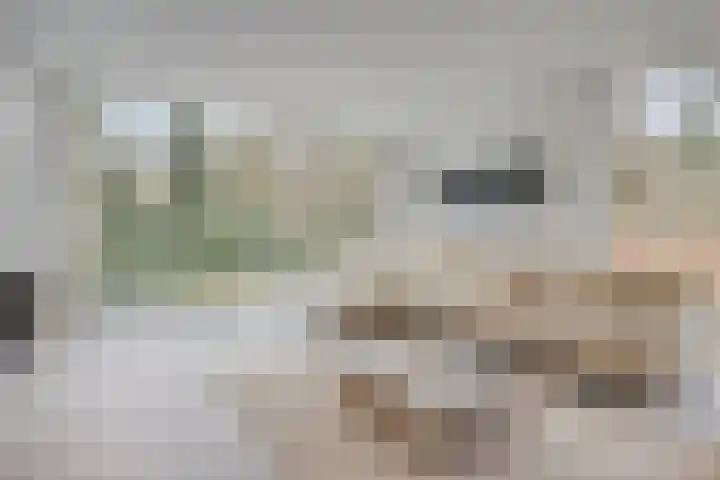 Bisonlaan 9 Son en Breugel thumbnail 25