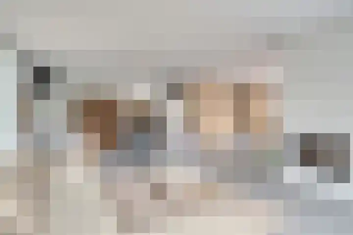 Bisonlaan 9 Son en Breugel thumbnail 29
