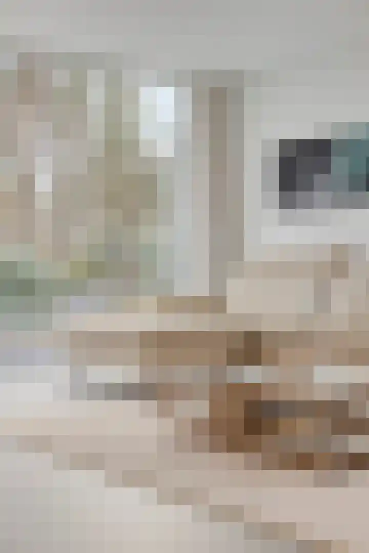 Bisonlaan 9 Son en Breugel thumbnail 30