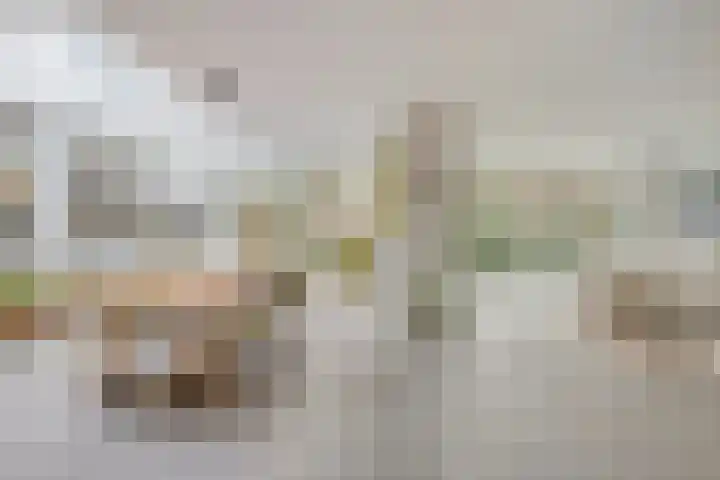Bisonlaan 9 Son en Breugel thumbnail 33