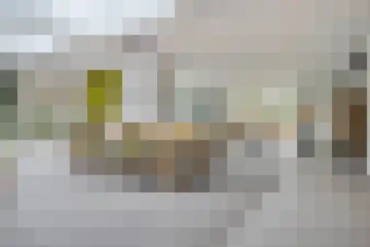 Bisonlaan 9 Son en Breugel thumbnail 34