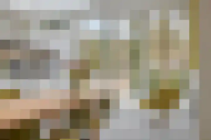 Bisonlaan 9 Son en Breugel thumbnail 36