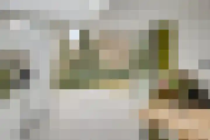 Bisonlaan 9 Son en Breugel thumbnail 37