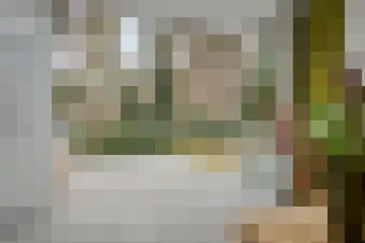 Bisonlaan 9 Son en Breugel thumbnail 38