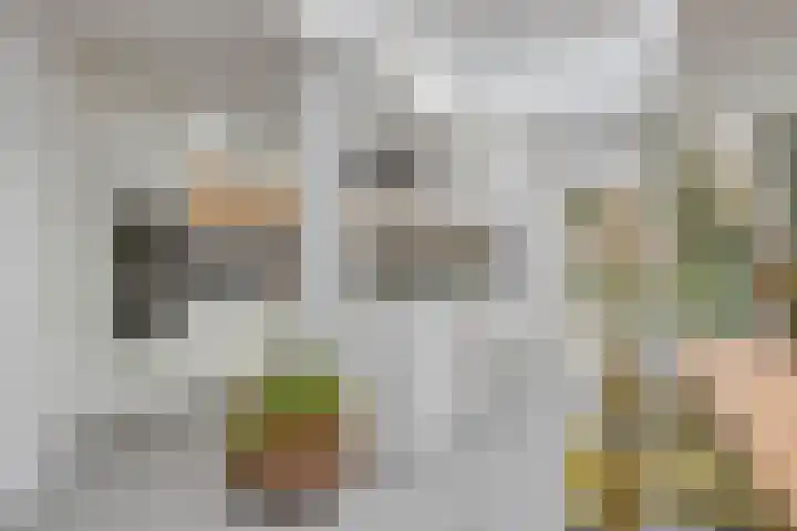 Bisonlaan 9 Son en Breugel thumbnail 39