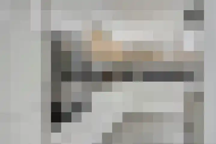 Bisonlaan 9 Son en Breugel thumbnail 40