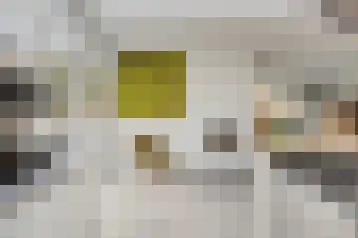 Bisonlaan 9 Son en Breugel thumbnail 43