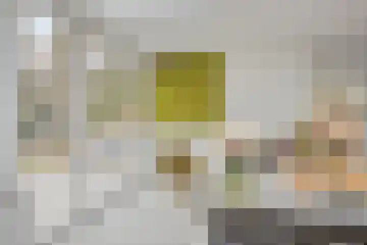 Bisonlaan 9 Son en Breugel thumbnail 46