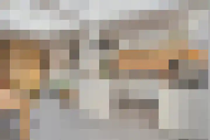 Bisonlaan 9 Son en Breugel thumbnail 47
