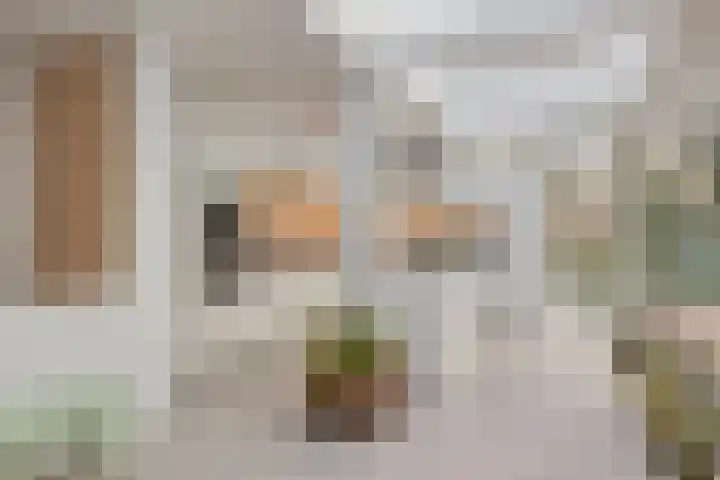 Bisonlaan 9 Son en Breugel thumbnail 48