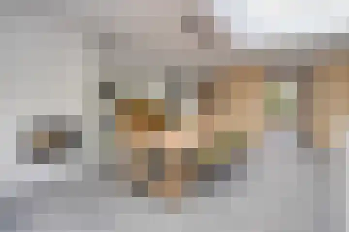 Bisonlaan 9 Son en Breugel thumbnail 49