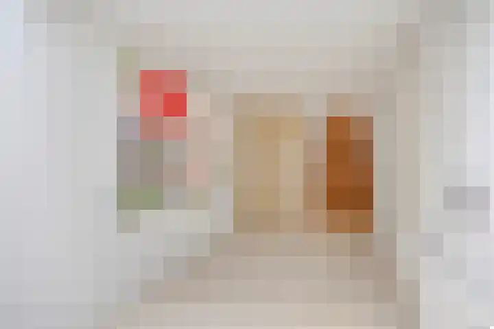 Bisonlaan 9 Son en Breugel thumbnail 55