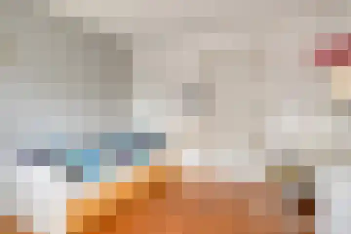 Bisonlaan 9 Son en Breugel thumbnail 64