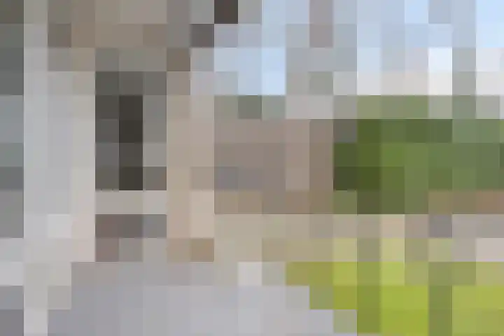 Bisonlaan 9 Son en Breugel thumbnail 65