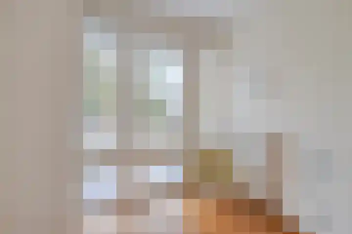 Bisonlaan 9 Son en Breugel thumbnail 69