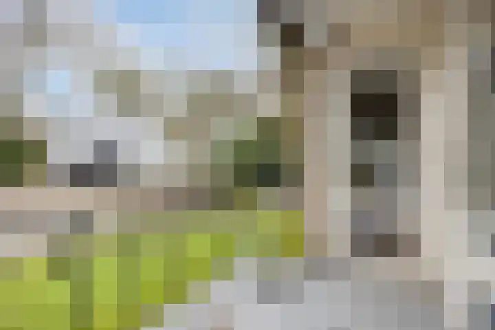 Bisonlaan 9 Son en Breugel thumbnail 72