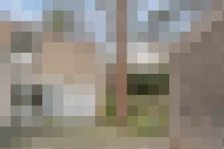 Bisonlaan 9 Son en Breugel thumbnail 73