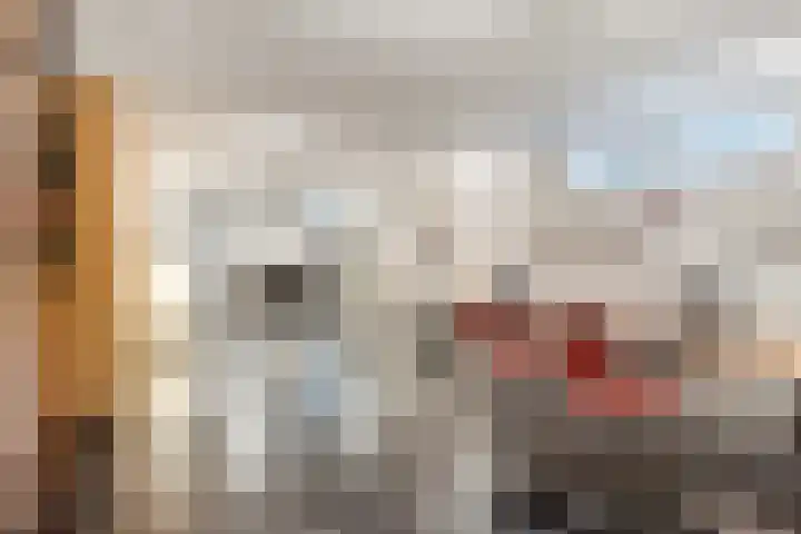 Bisonlaan 9 Son en Breugel thumbnail 78