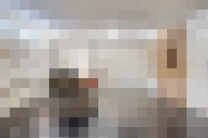 Bisonlaan 9 Son en Breugel thumbnail 80
