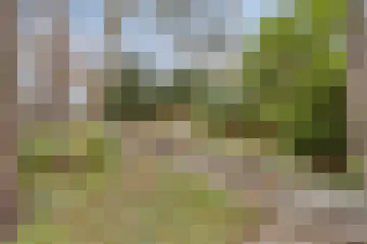 Bisonlaan 9 Son en Breugel thumbnail 81