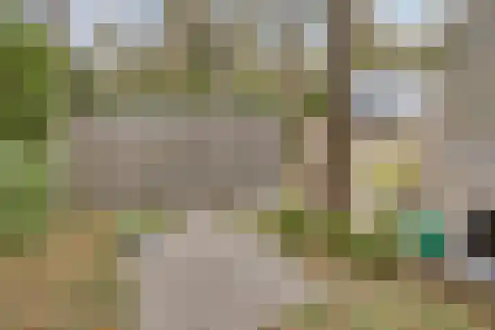 Bisonlaan 9 Son en Breugel thumbnail 82