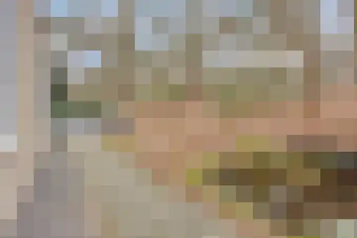 Bisonlaan 9 Son en Breugel thumbnail 83