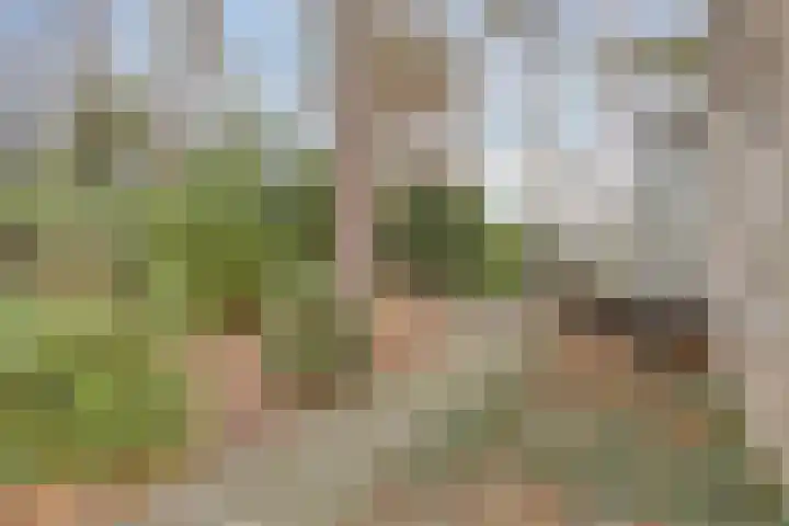 Bisonlaan 9 Son en Breugel thumbnail 85
