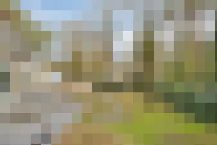 Bisonlaan 9 Son en Breugel thumbnail 86