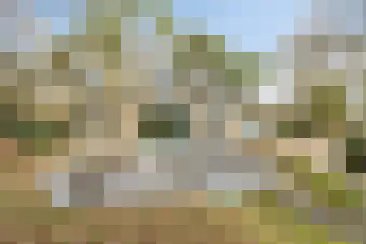 Bisonlaan 9 Son en Breugel thumbnail 87