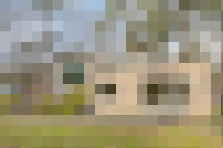 Bisonlaan 9 Son en Breugel thumbnail 89