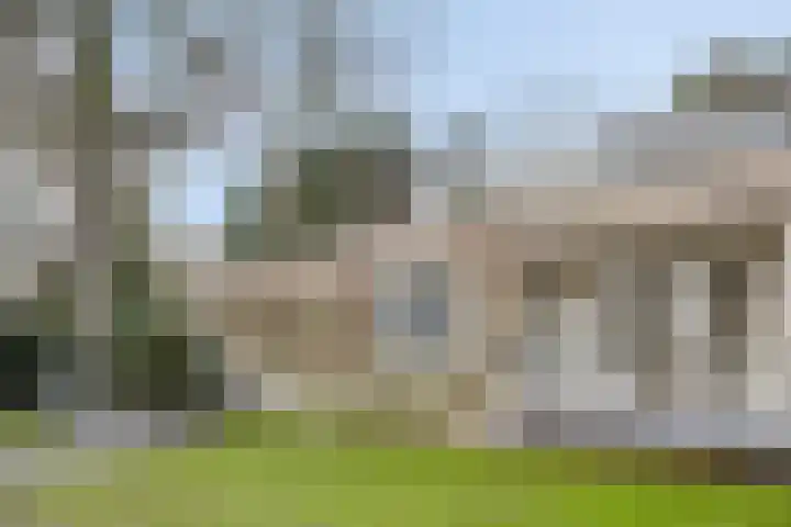 Bisonlaan 9 Son en Breugel thumbnail 9