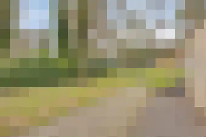 Bisonlaan 9 Son en Breugel thumbnail 90