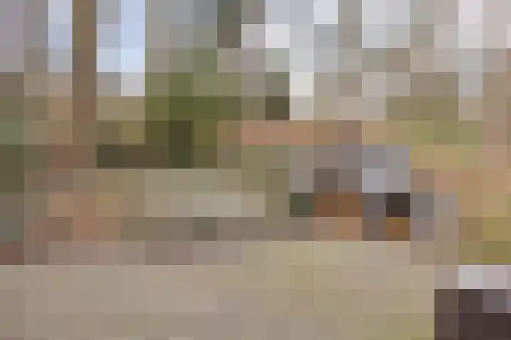 Bisonlaan 9 Son en Breugel thumbnail 92