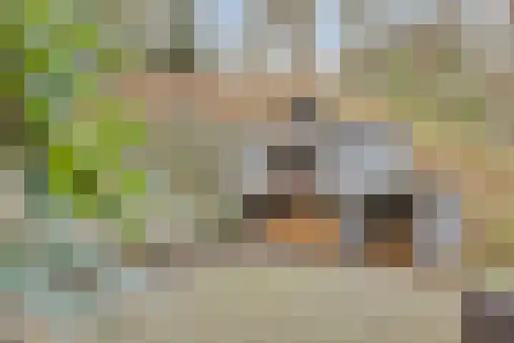 Bisonlaan 9 Son en Breugel thumbnail 93