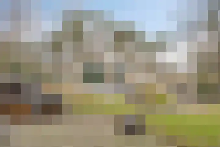 Bisonlaan 9 Son en Breugel thumbnail 95