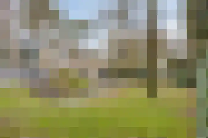 Bisonlaan 9 Son en Breugel thumbnail 96