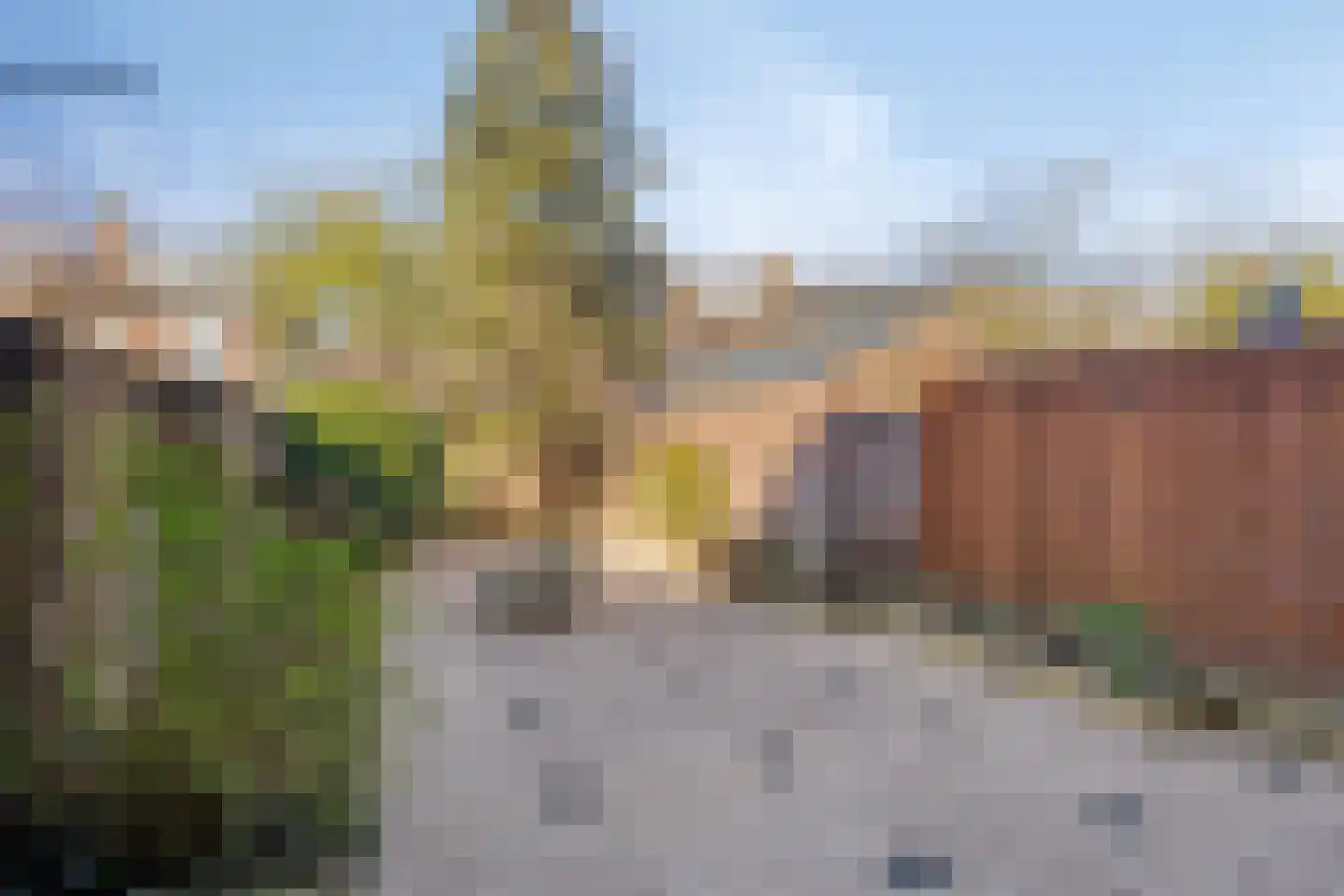 Bisonstraat 16 Breda thumbnail 5