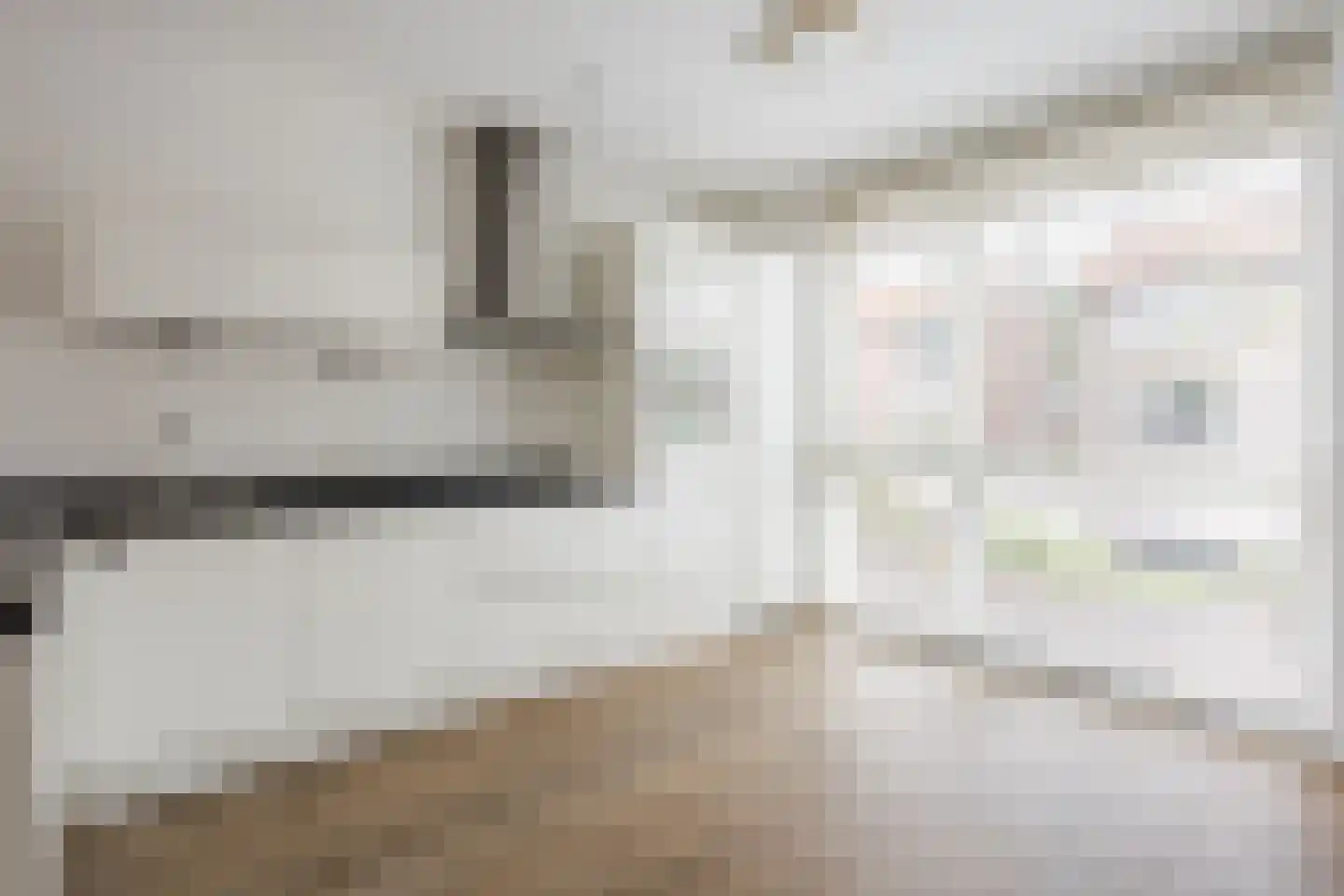 Bisonstraat 22 Gemert thumbnail 12