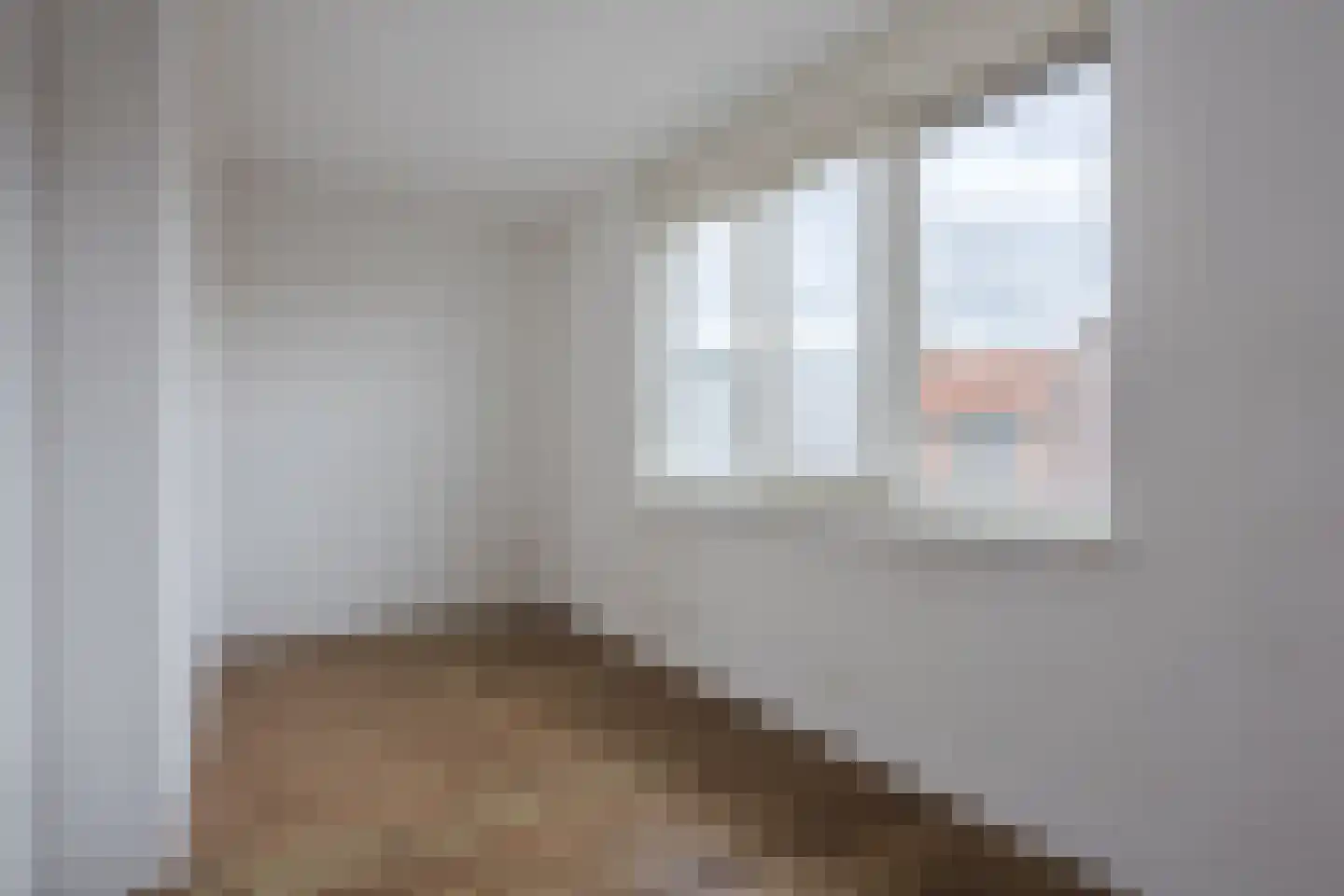 Bisonstraat 22 Gemert thumbnail 27