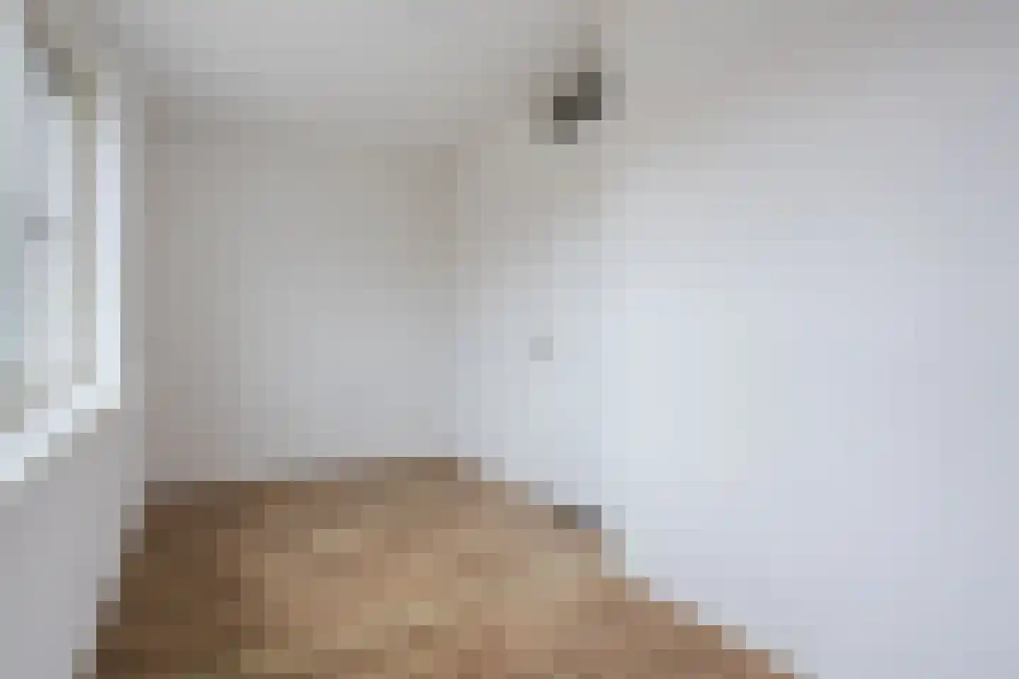 Bisonstraat 22 Gemert thumbnail 28