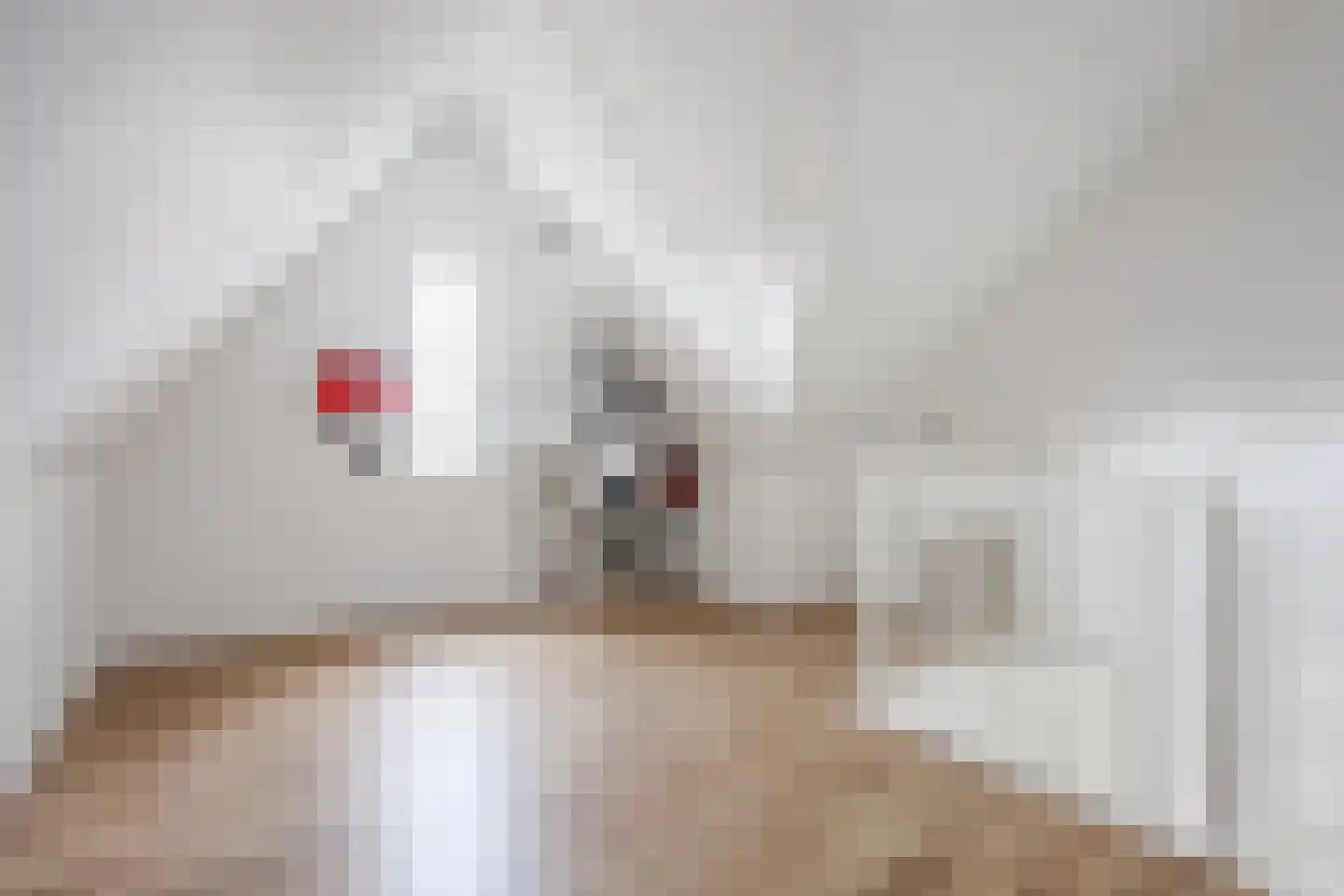 Bisonstraat 22 Gemert thumbnail 35
