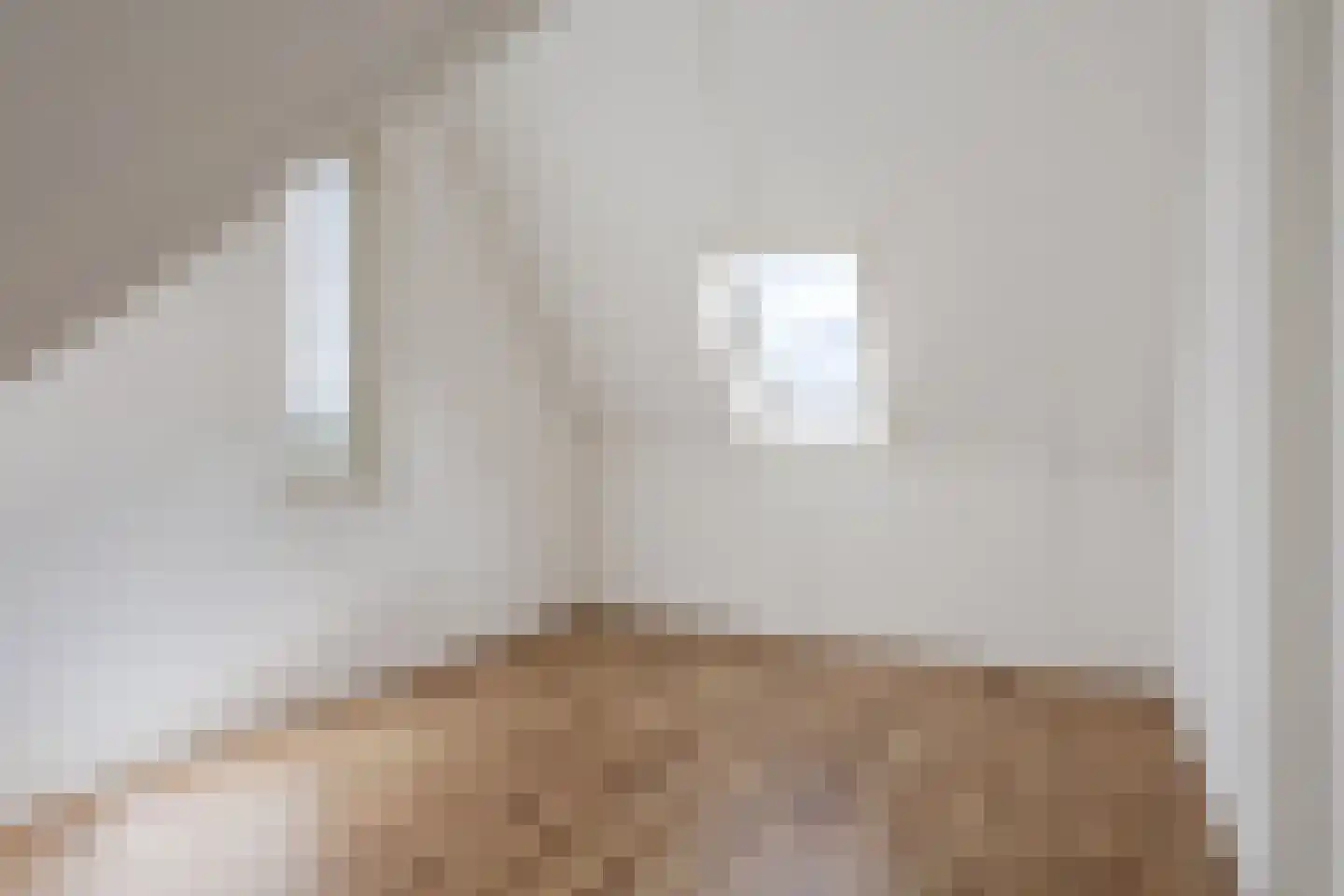 Bisonstraat 22 Gemert thumbnail 38