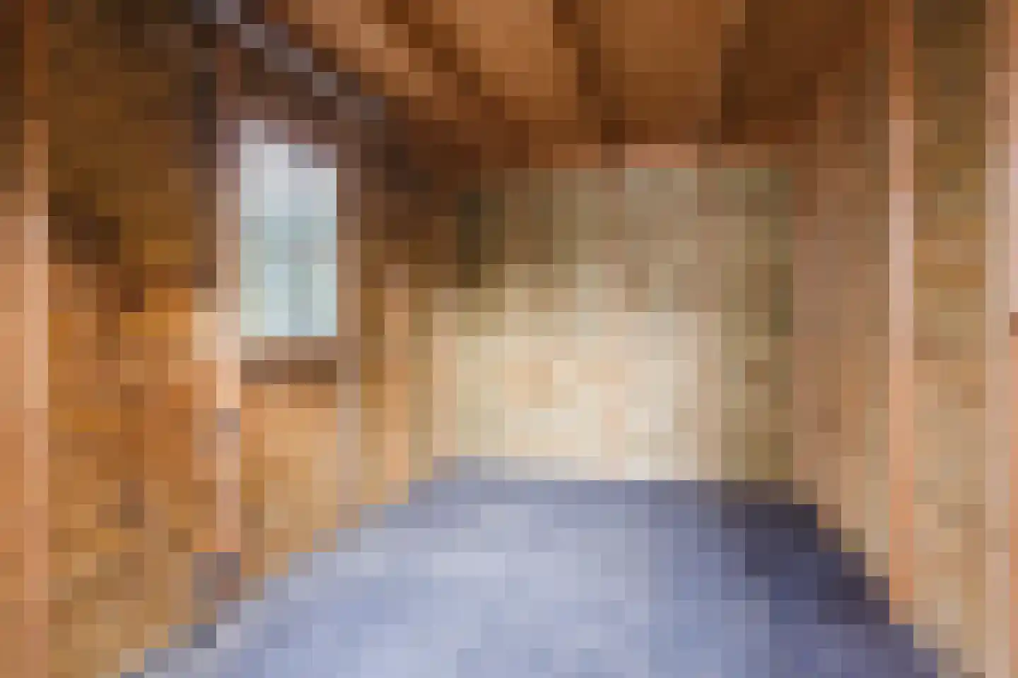 Bisonstraat 22 Gemert thumbnail 43