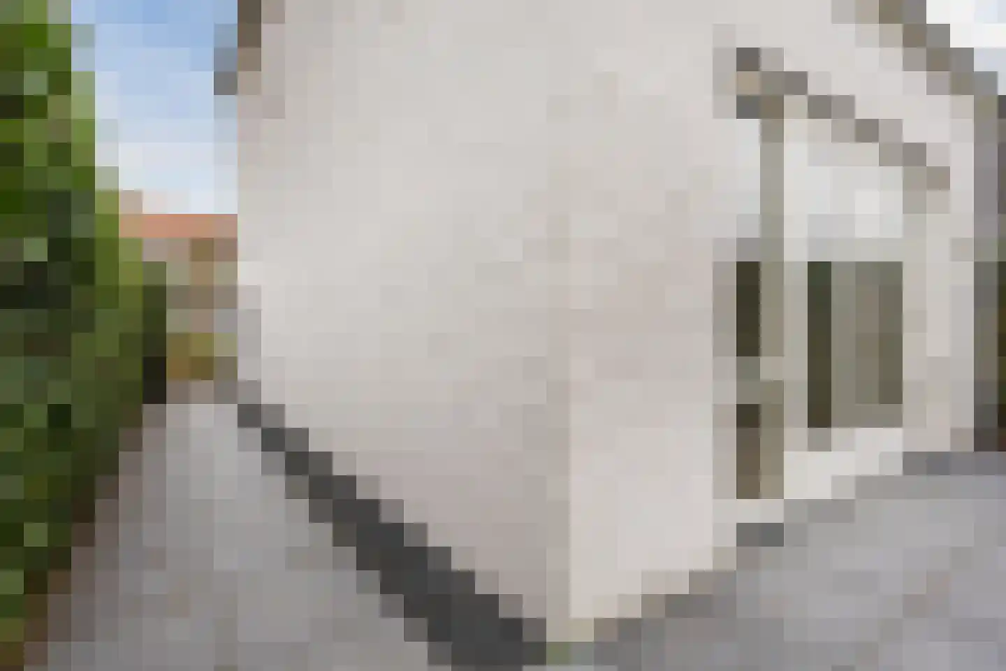 Bisonstraat 22 Gemert thumbnail 46