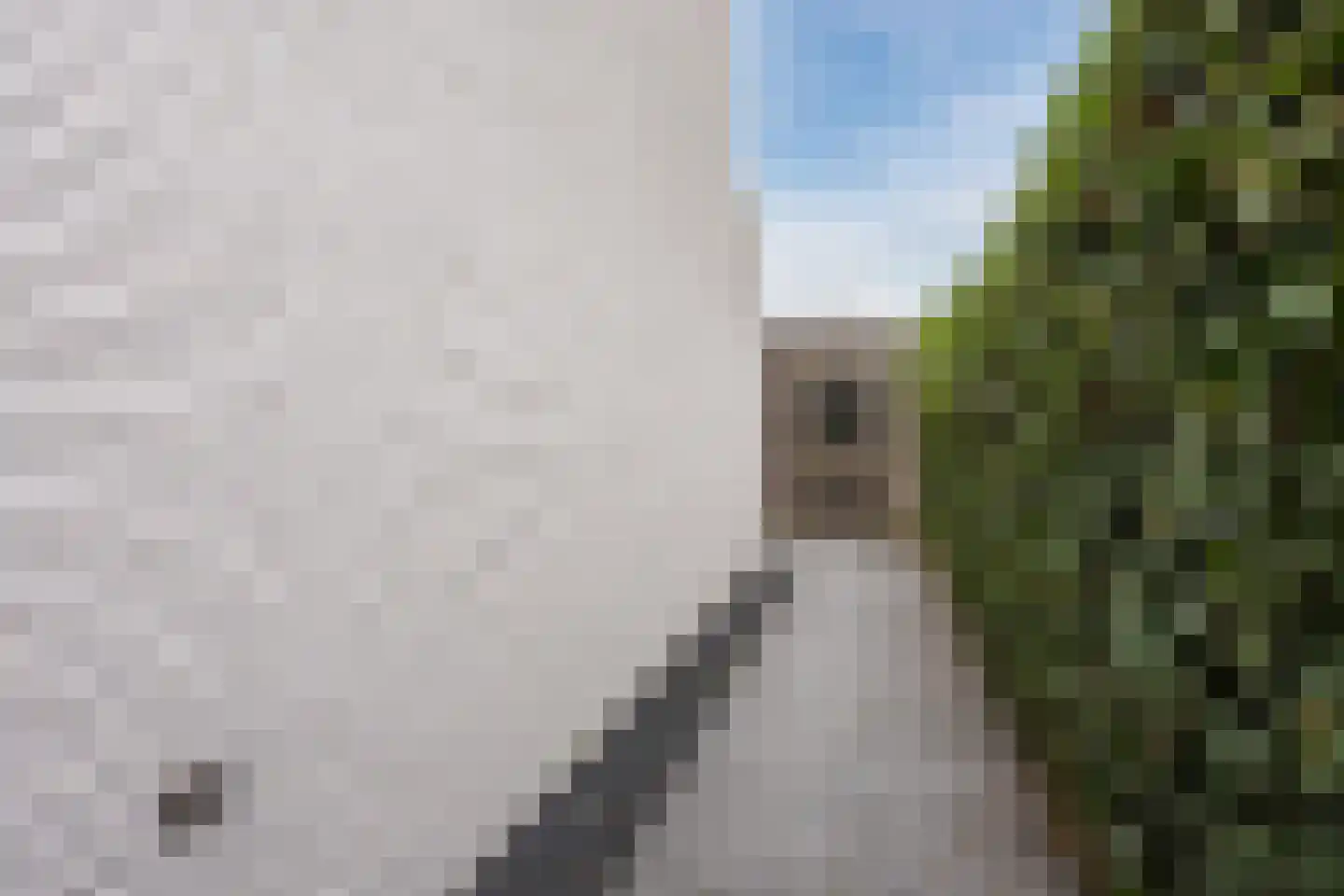 Bisonstraat 22 Gemert thumbnail 47