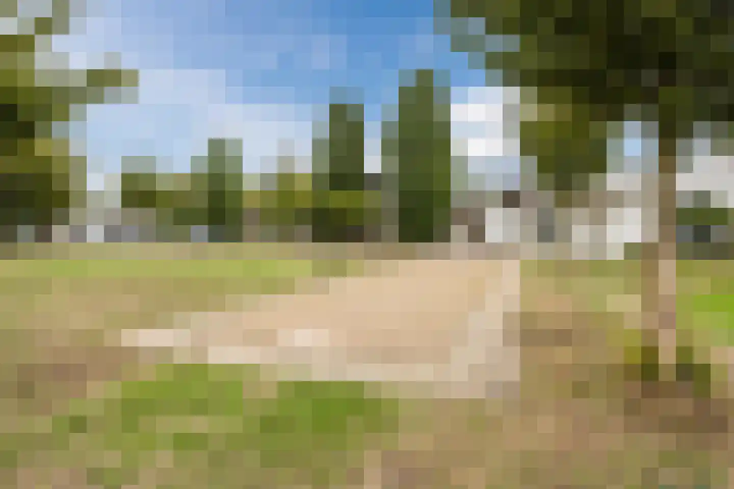 Bisonstraat 22 Gemert thumbnail 53